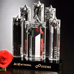Prominence Award