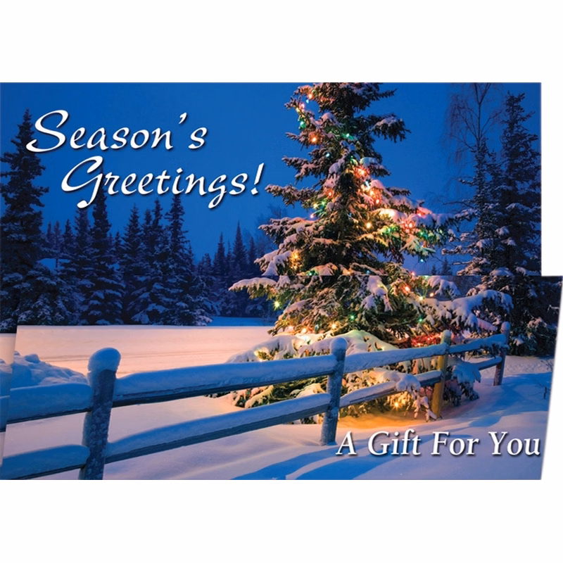 Splendorous Gift Christmas Coupon Cards