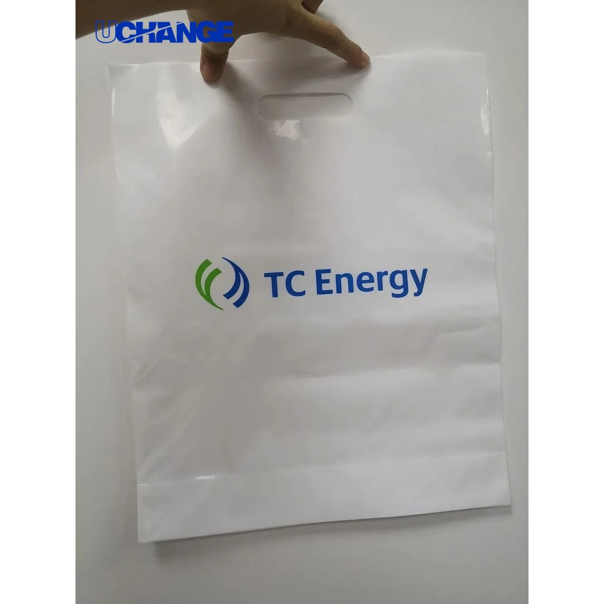 Eco Die Cut Handle Bag for Retail Packaging 1