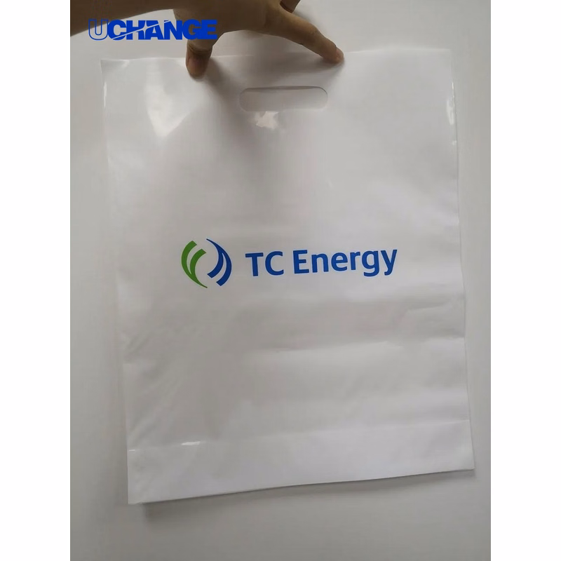 Eco Die Cut Handle Bag for Retail Packaging