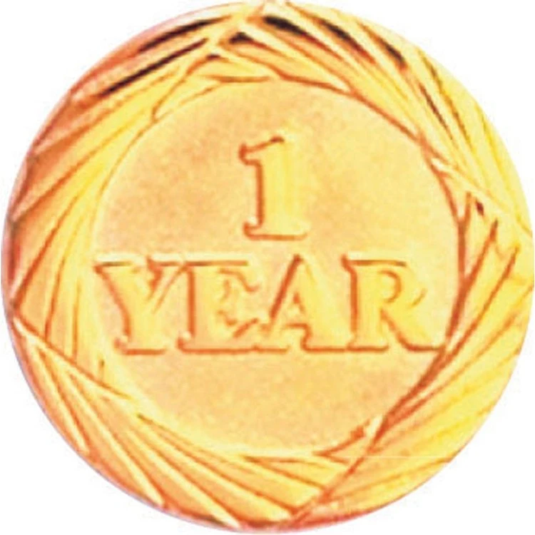Bright Gold 15 Year Service Lapel Pin 1