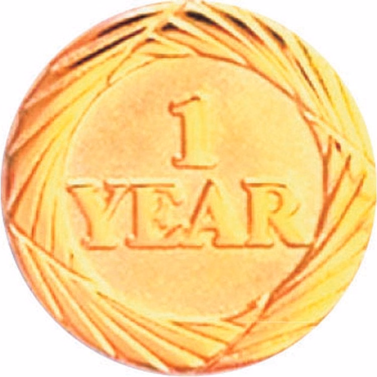 Bright Gold 15 Year Service Lapel Pin