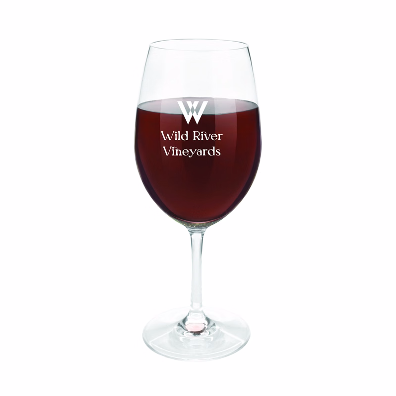 True® Shatterproof Plastic Wine Glass