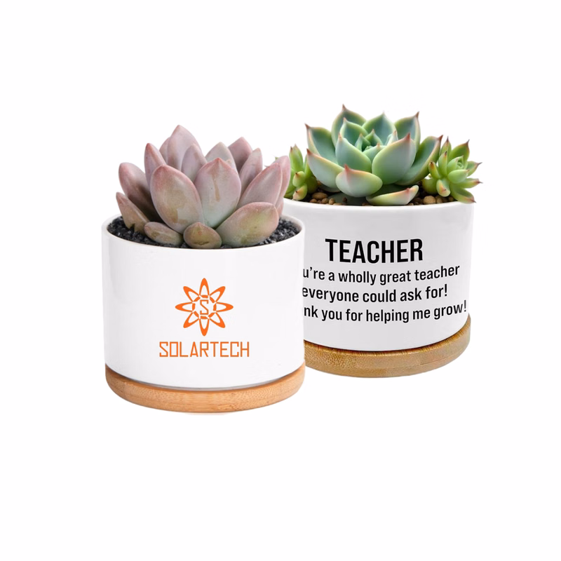 Mini Ceramic Flower Pot