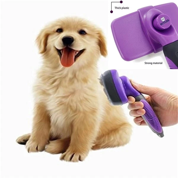 Self Cleaning Brush 1