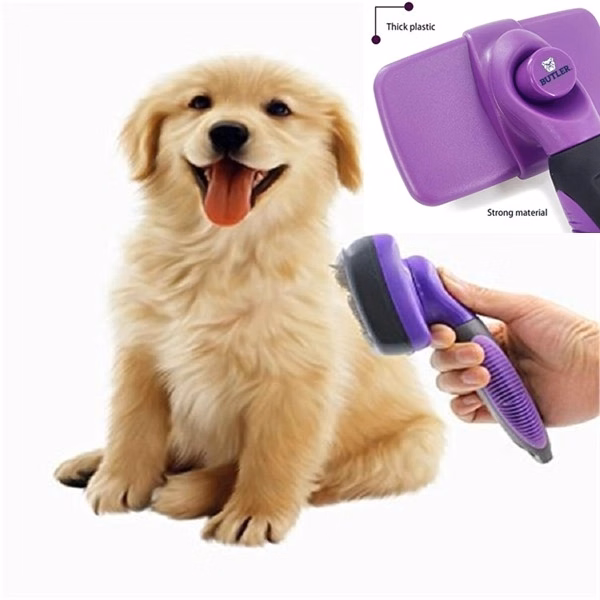 Self Cleaning Brush