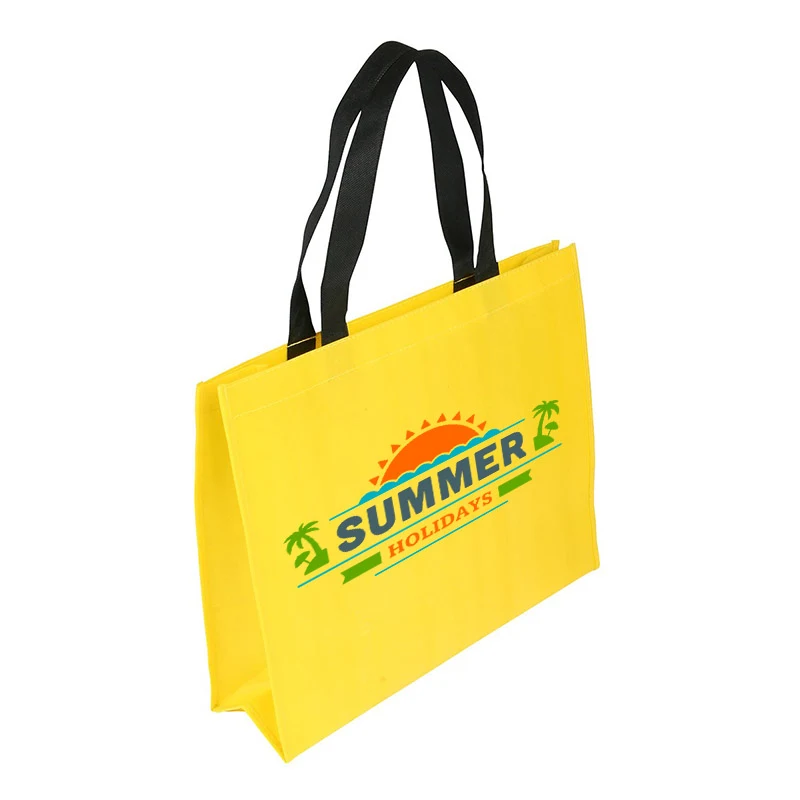 Custom Non-woven Coated Bag 1