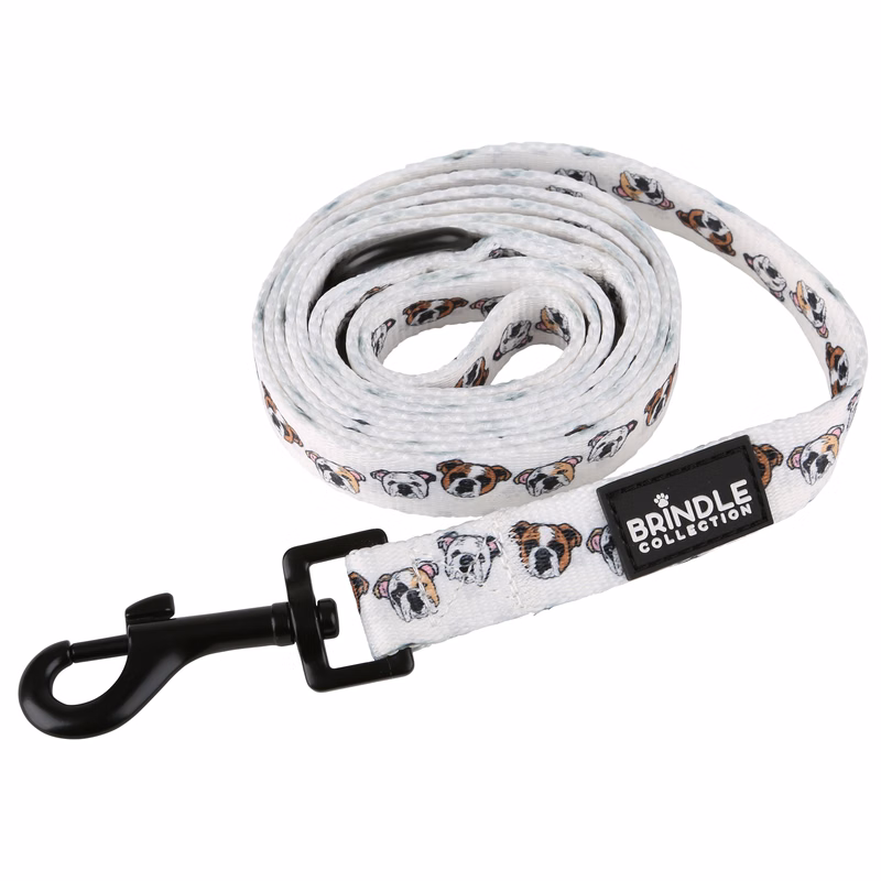 Dog Leash: Wide