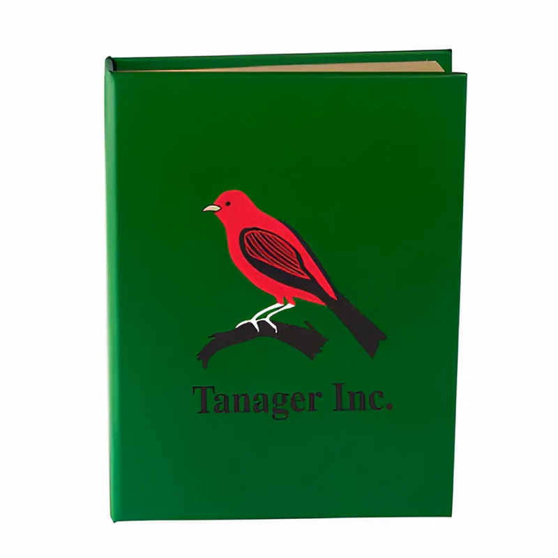Memo Stick Book