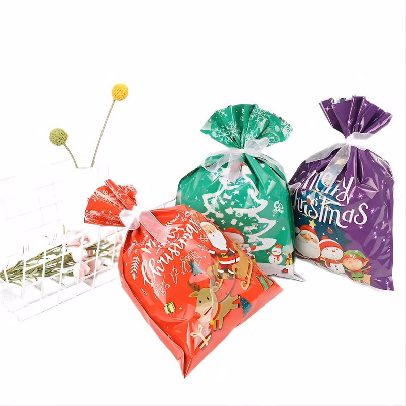 Christmas Gift Bag