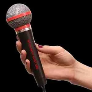 10" Plastic Toy Microphone 1