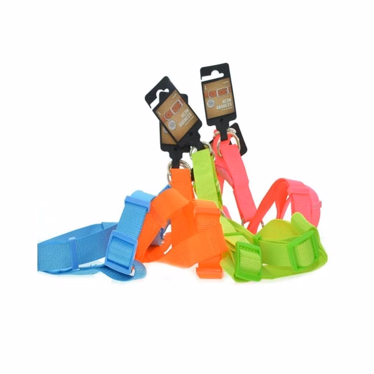 Neon Pet Harnesses - Assorted Large