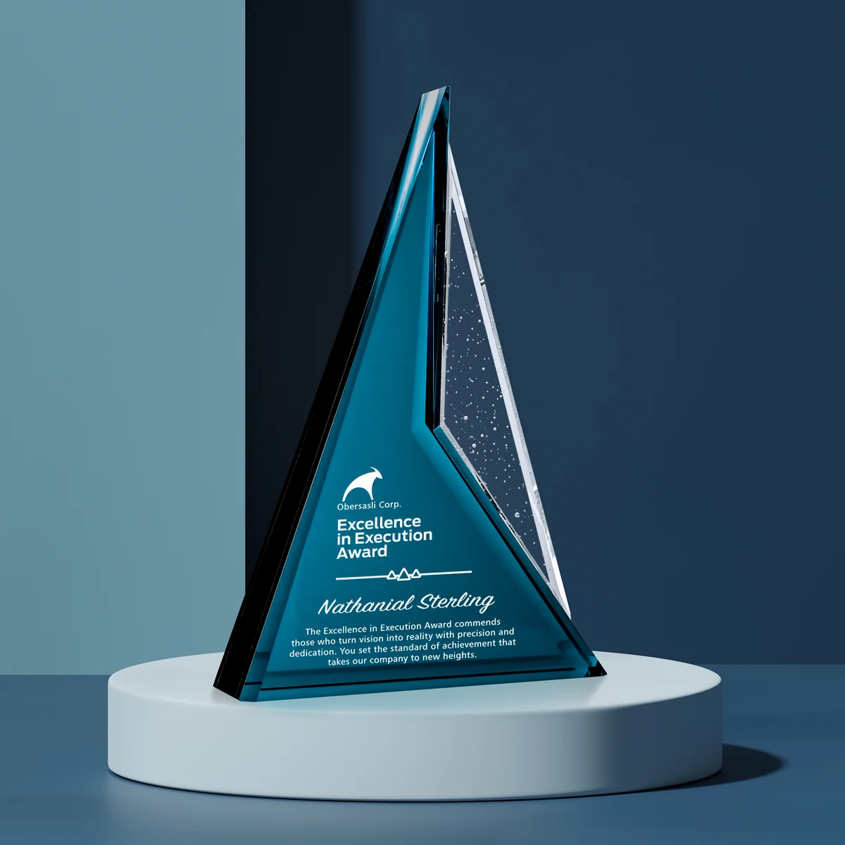 Endurance Award 1