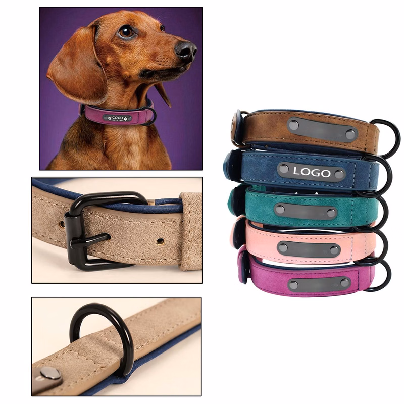 Multi Size Custom Nameplate Dog Collar