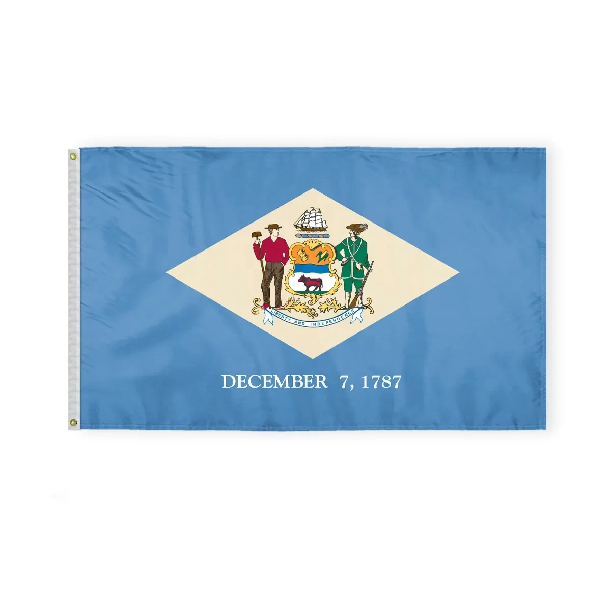 3'x5' Delaware ePoly Printed Flags 1