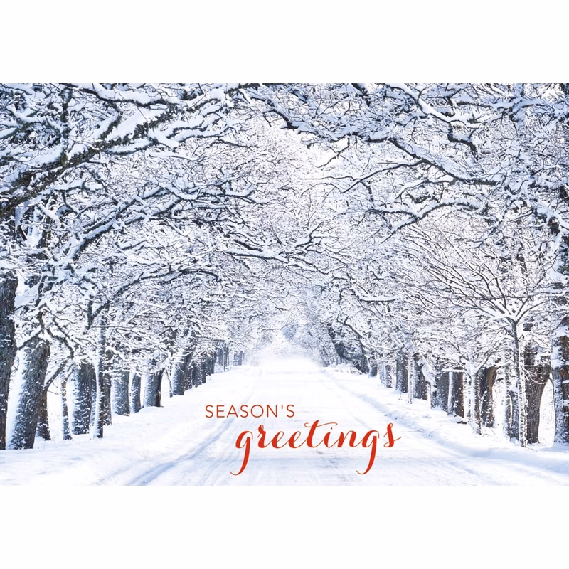 Crystal Lane Holiday Cards