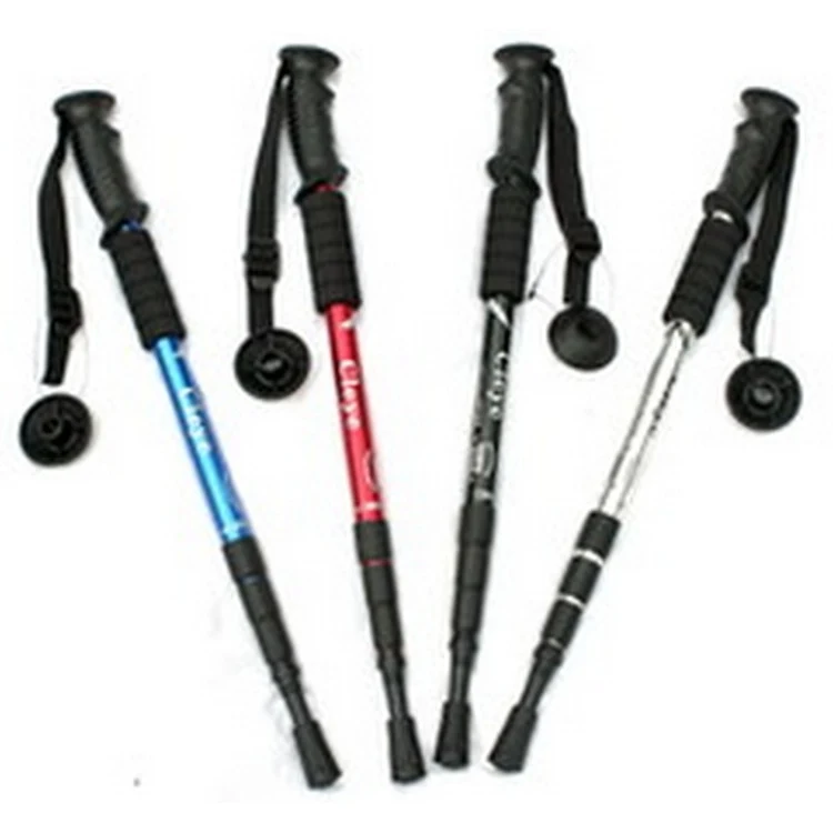 Walking Stick 1