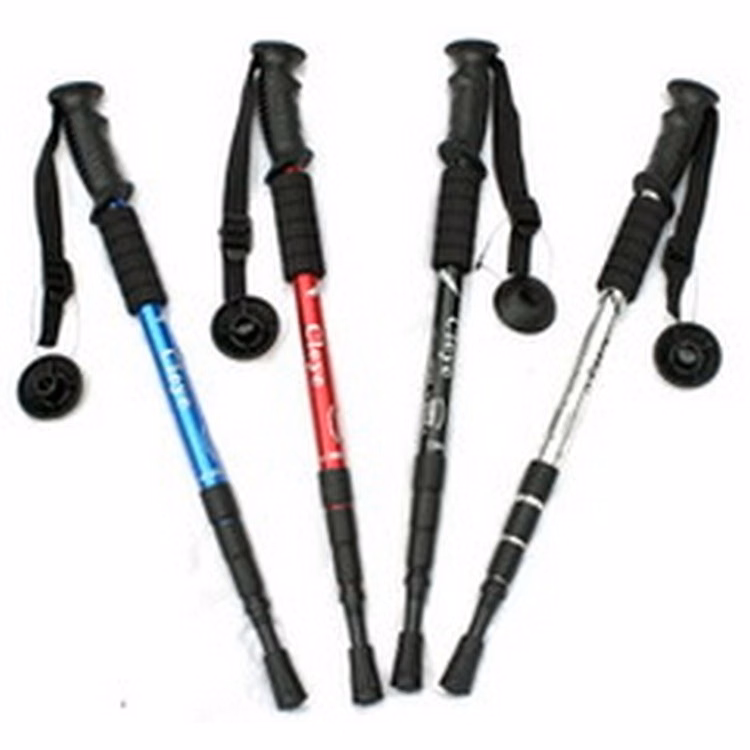 Walking Stick