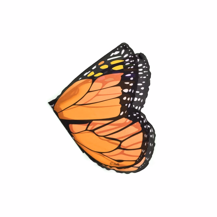 Orange Monarch Wings