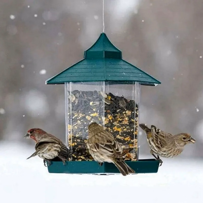 Hanging Birdcage Automatic Bird Feeders 2.25 lb of Seeds