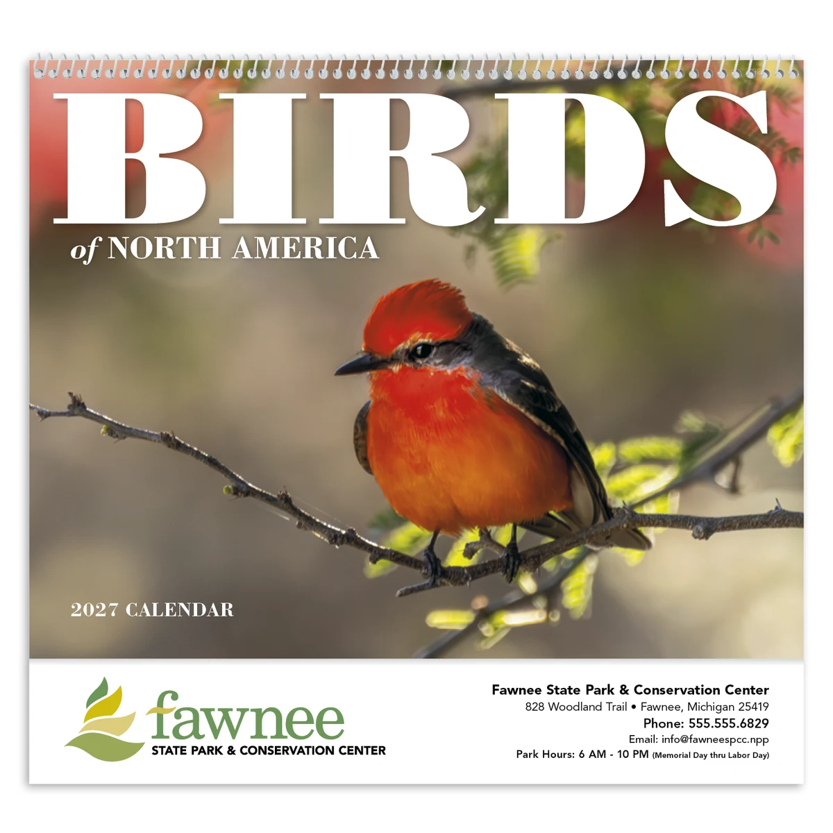 Good Value™ Birds of North America - Spiral Calendar 1