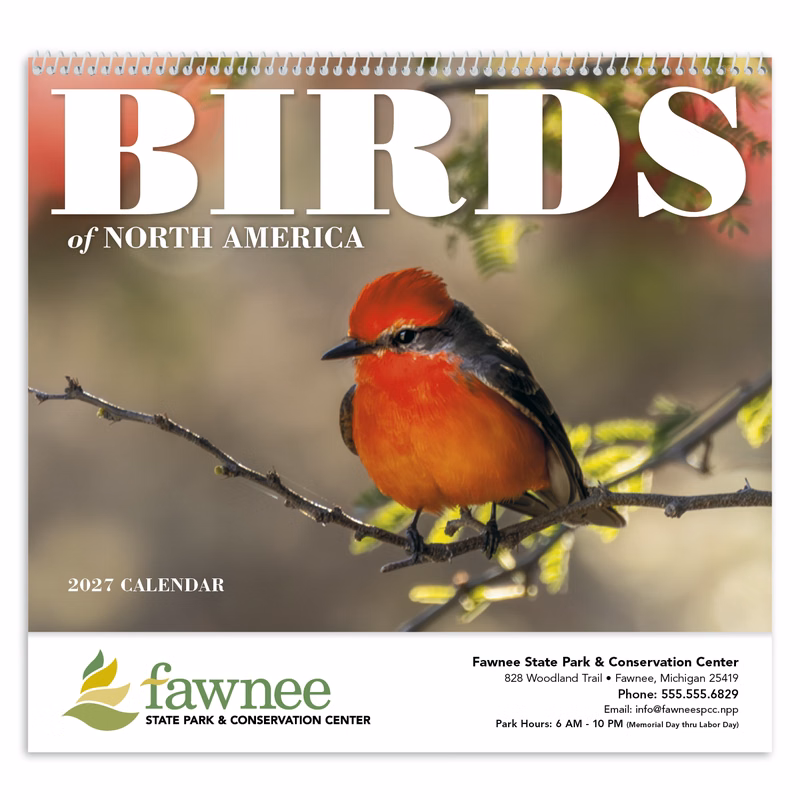 Good Value™ Birds of North America - Spiral Calendar