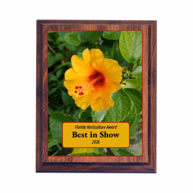5" x 7" Cherry Finish Plaque with a Full Color Metal Plate