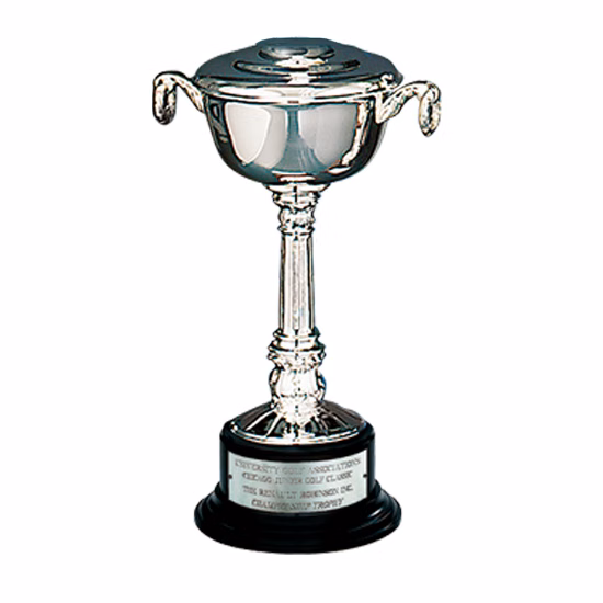 Silver-Plated Pedestal Bowl Cup