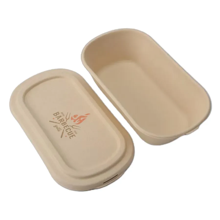 ECO Friendly Lunch Box 1