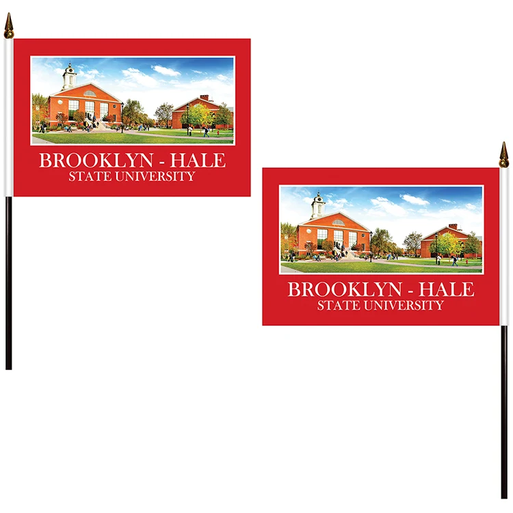 6" x 9" Double Sided Polyester Stick Flag 1