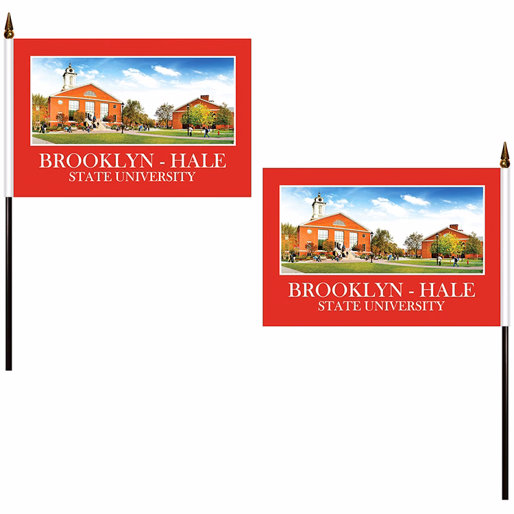 6" x 9" Double Sided Polyester Stick Flag