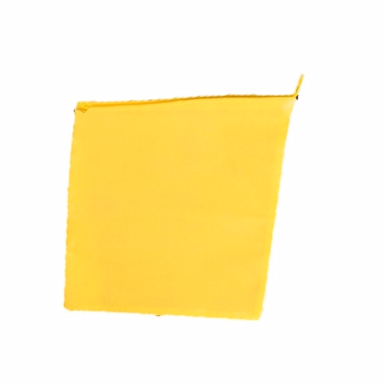 Non Woven Shoe Bag