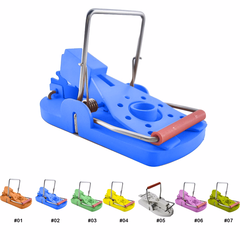 Mouse Trap