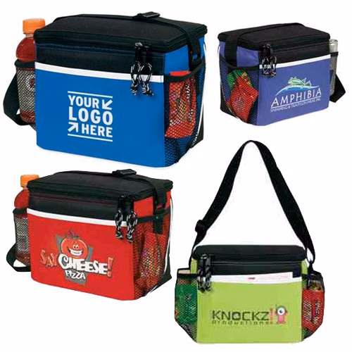 SPECTRUM FROSTED INSULATED 6 PACK COOLER