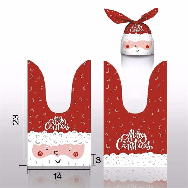 Christmas Treat Bag
