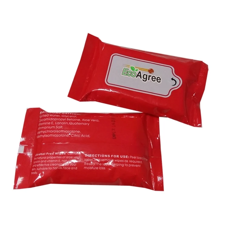 Sanitizing Wipes 1
