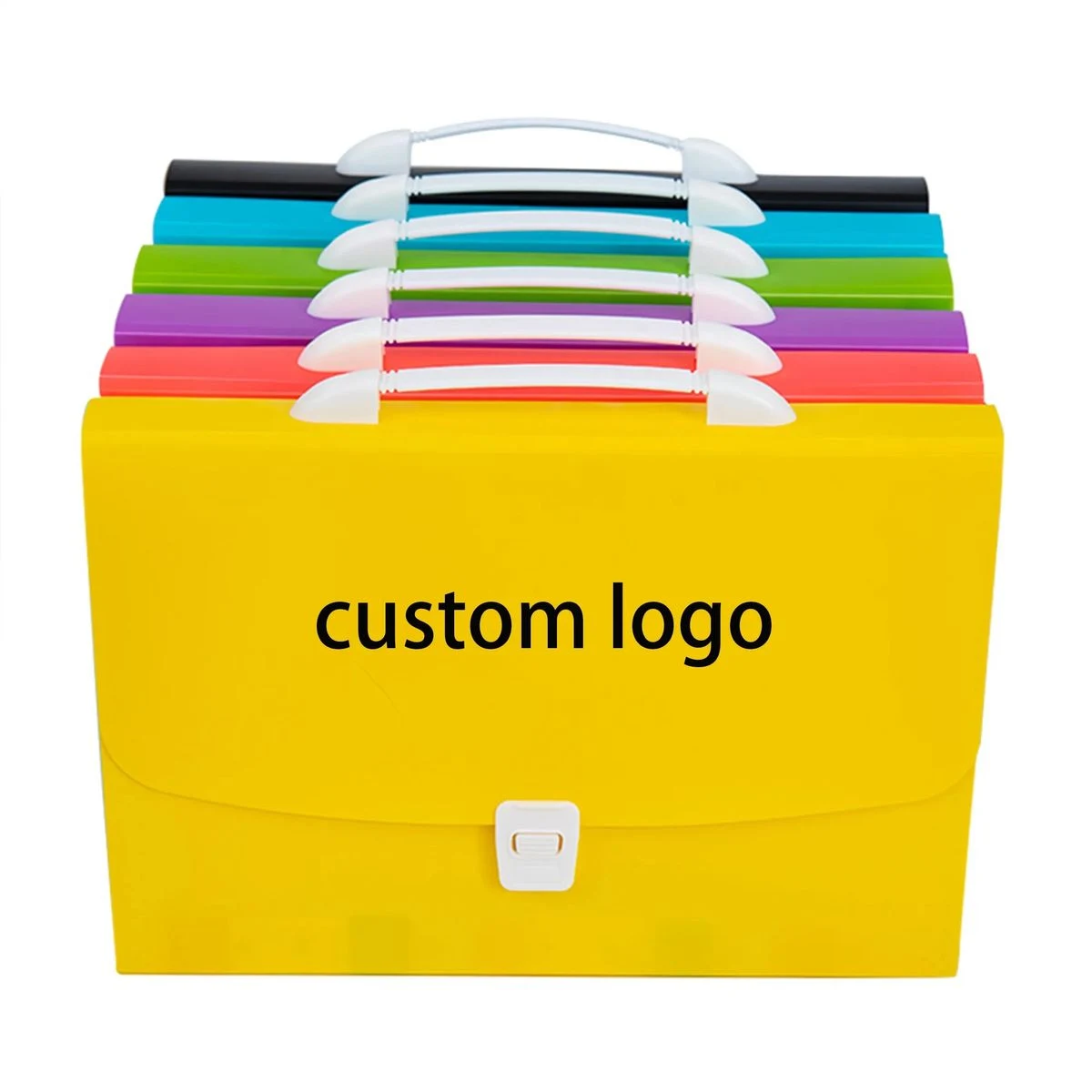 Expanding Accordion File Folder 1