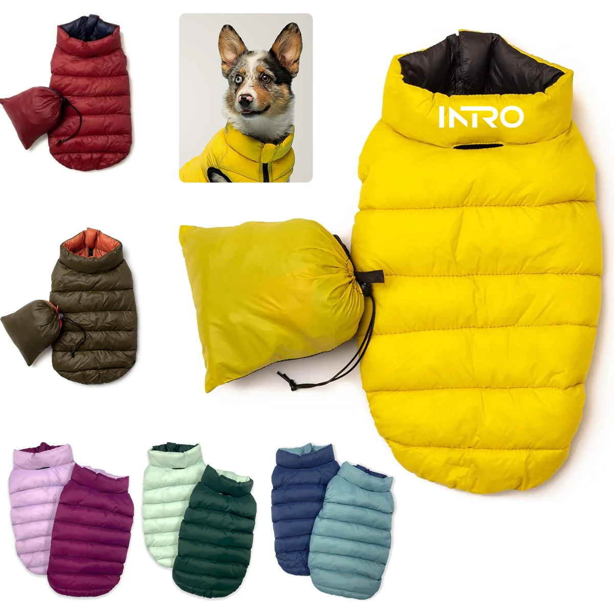 Pet Down Jacket 1