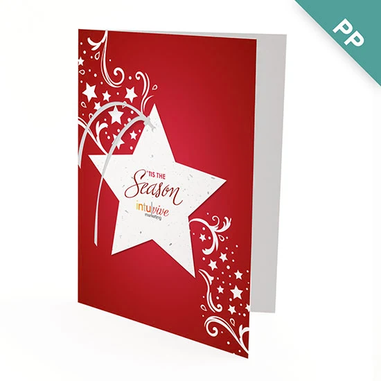 Seasonal Star Ornament Business Holiday Cards 1