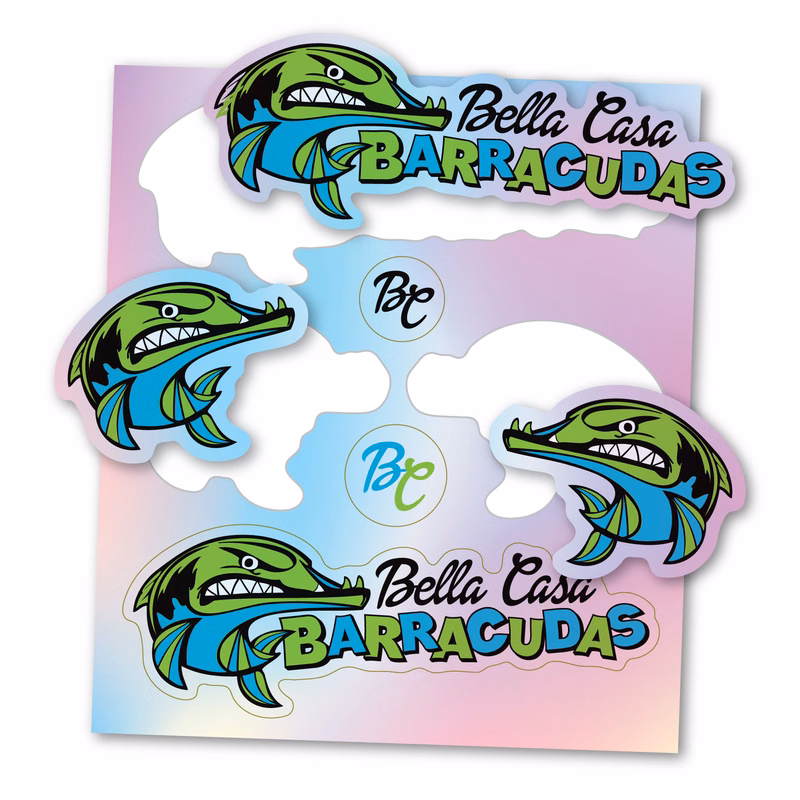 Rainbow Holographic Custom Decal Sticker Sheet - 28 - 32 Square Inch