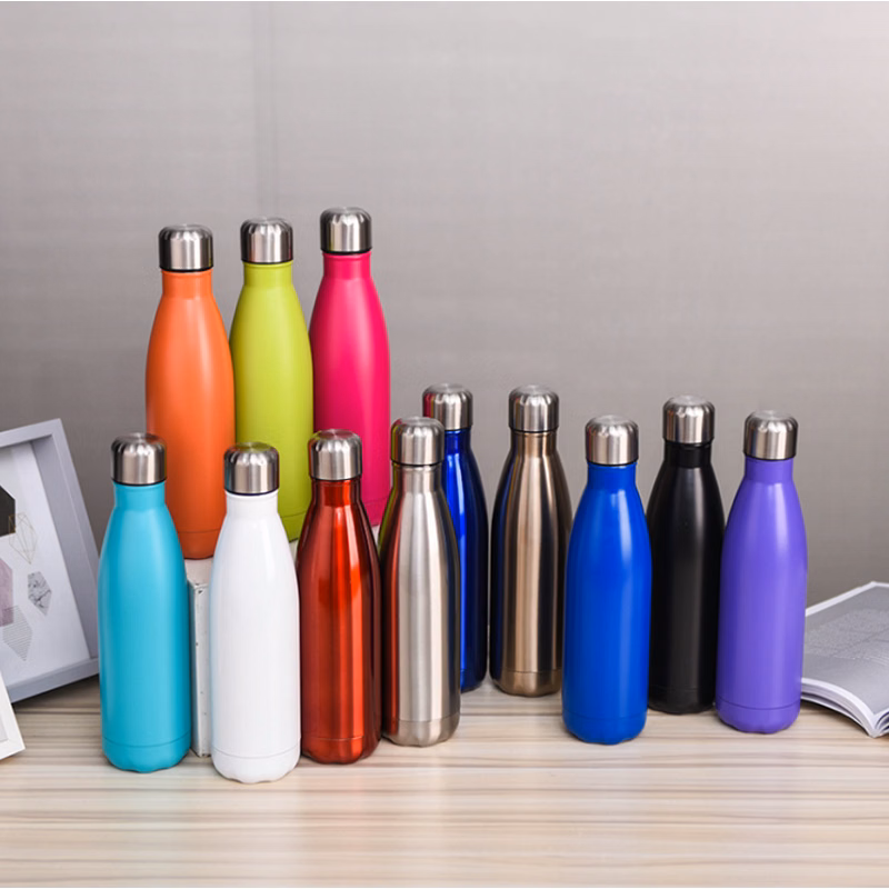 17 oz Double Wall Stainless Steel Water Bottle