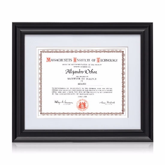 Banff Certificate Frame