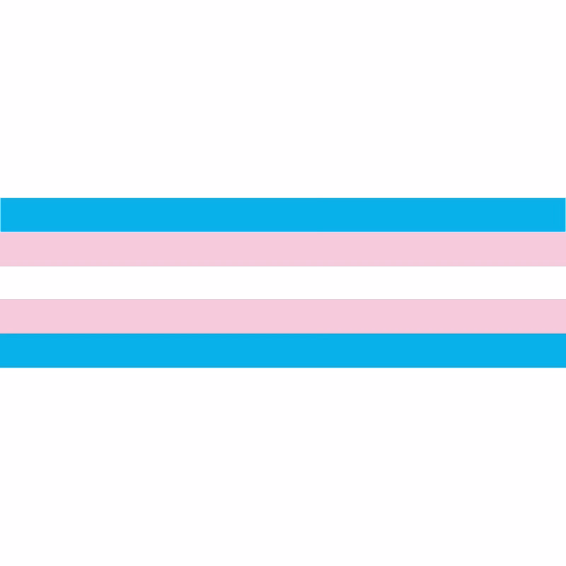 Transgender Window Decals 3" x 10"