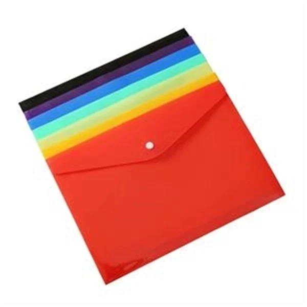 Snap Transparent Document Bags 1