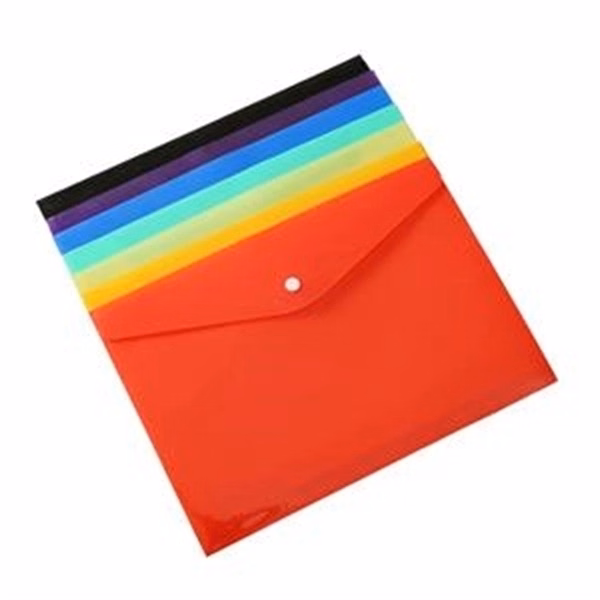 Snap Transparent Document Bags