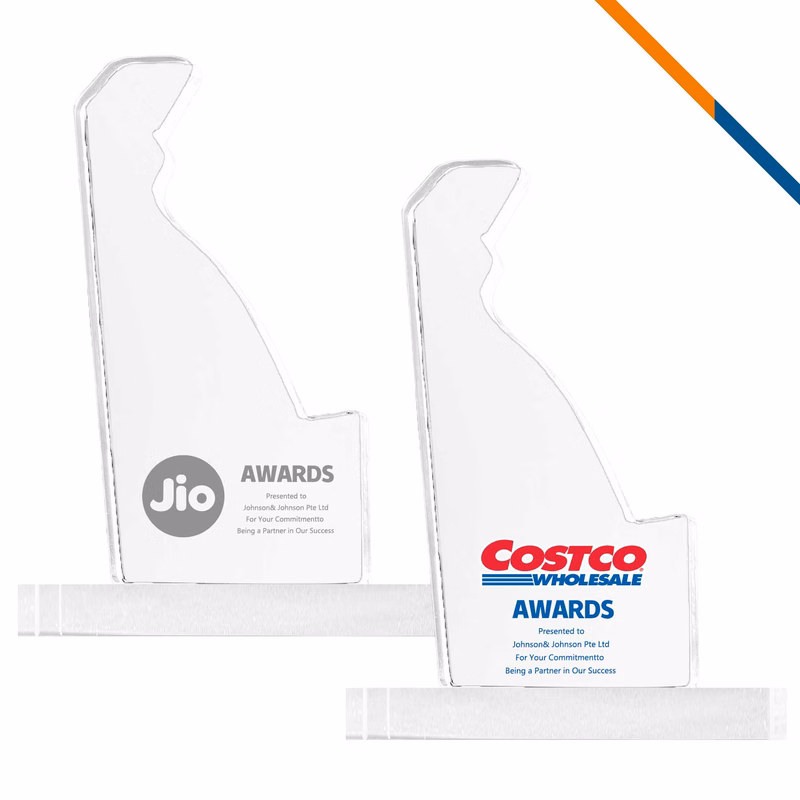 Arvle Delaware Crystal Award