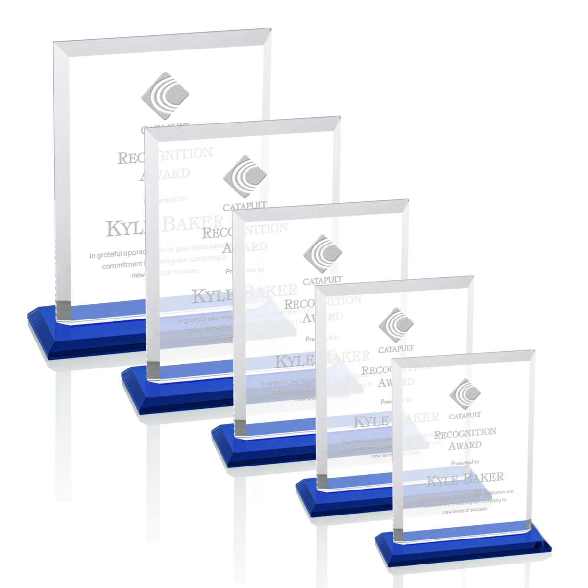 Denison Award - Blue 1