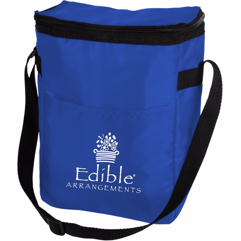 Large Insulated 12 Can Cooler Bag
