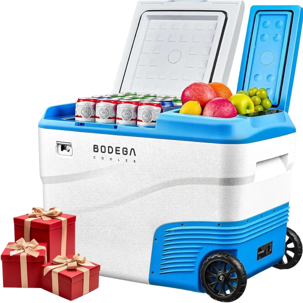 12V Car Fridge 1
