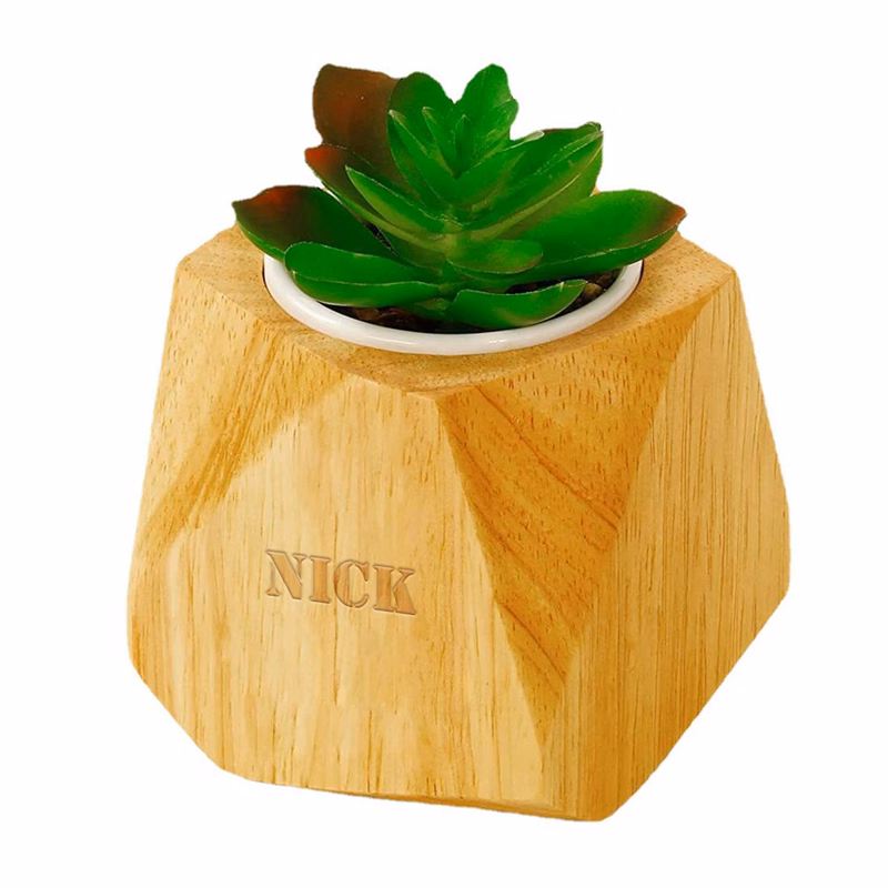 Solid Wood Succulent Flowerpot Container